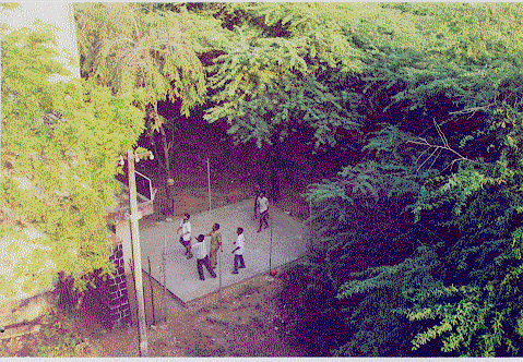 Saras Baski Court