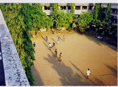 Saras Field