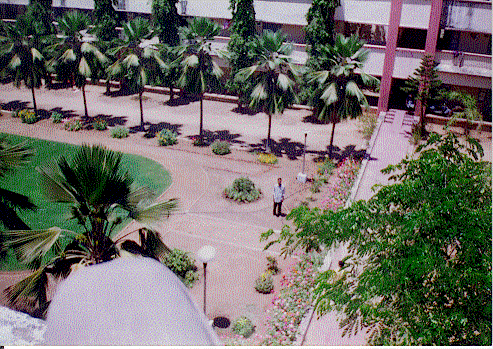 Saras Lawn2