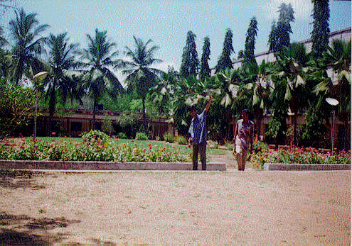 Saras Lawn4